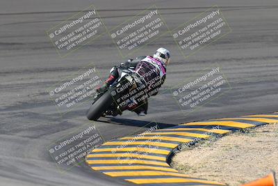 media/Jan-20-2023-Apex Assassins (Fri) [[05880b9d29]]/Trackday 1/Session 2 (Bowl Backside)/